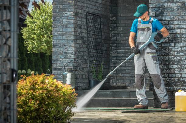 Best Roof Cleaning and Mildew Removal in New Orleans Station, LA